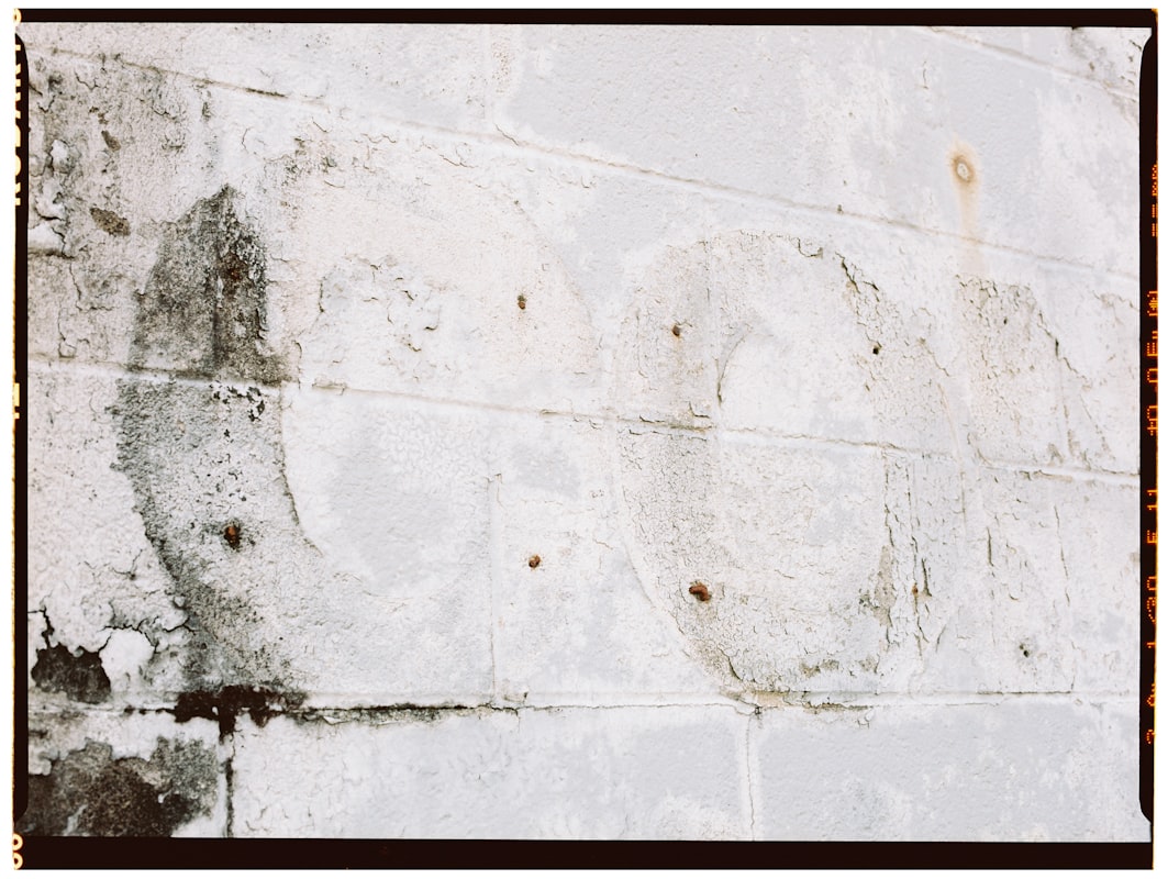 Commercial Water Damage service in Savannah, GA