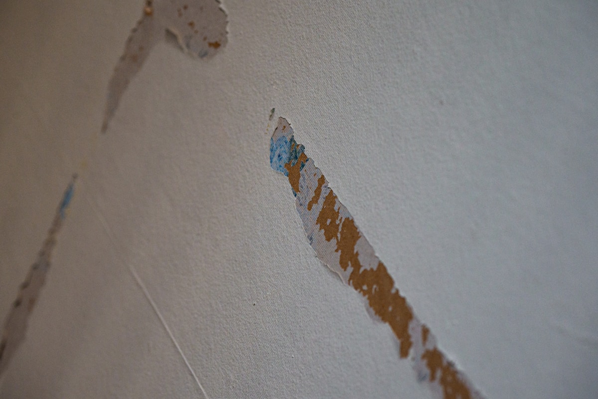 Basement Water Removal service in Savannah, GA